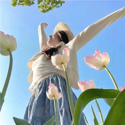 狮子军龙虎鬪